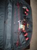 Daltons New Bow Mathews Monster 004.jpg