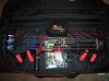 Daltons New Bow Mathews Monster 008.jpg