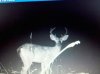Young this years.jpg