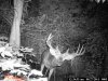 monsterbuck2011 005.jpg