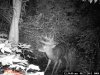 monsterbuck2011 004.jpg