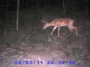 PIC_0009.jpg