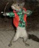 bowhunting squirrel.jpg