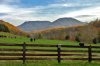 pasture.jpg