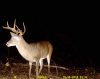 8 pt trail pics 003.jpg