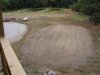 planted3.jpg
