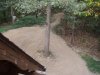 planted6.jpg
