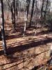 ImageUploadedByBowhunting.com Forums1446575628.257708.jpg