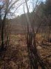 ImageUploadedByBowhunting.com Forums1446575647.915820.jpg