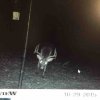 ImageUploadedByBowhunting.com Forums1446612487.780940.jpg