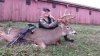 Deb IDNR Buck Nov 3 2015 004.jpg