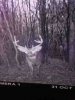 ImageUploadedByBowhunting.com Forums1446665764.108341.jpg