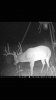 ImageUploadedByBowhunting.com Forums1446698988.488519.jpg