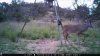 ImageUploadedByBowhunting.com Forums1446699000.138921.jpg