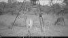 ImageUploadedByBowhunting.com Forums1446699017.606726.jpg