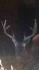 ImageUploadedByBowhunting.com Forums1446784076.186258.jpg