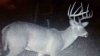 ImageUploadedByBowhunting.com Forums1447045681.028953.jpg