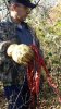Deb IDNR Doereen Decoy Buck Nov 9 2015 003.jpg