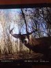 ImageUploadedByBowhunting.com Forums1447207120.301456.jpg