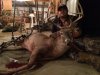 kansas82015.jpg