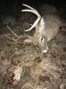 2015kansas8.jpg