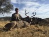Buck 2-5.jpg