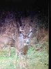 ImageUploadedByBowhunting.com Forums1448423862.083254.jpg