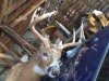 ImageUploadedByBowhunting.com Forums1448457588.518156.jpg