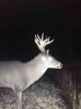 ImageUploadedByBowhunting.com Forums1448465551.723554.jpg
