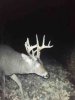 ImageUploadedByBowhunting.com Forums1448465577.339213.jpg