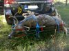 IMG_20121013_101157.jpg