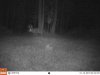 ImageUploadedByBowhunting.com Forums1449847304.618459.jpg