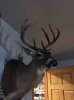 ImageUploadedByBowhunting.com Forums1450037675.159193.jpg