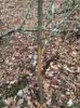 ImageUploadedByBowhunting.com Forums1450040551.607729.jpg