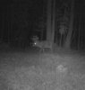 ImageUploadedByBowhunting.com Forums1450286879.115538.jpg