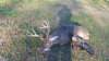 20151218_090153.jpg