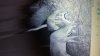 20151217_195606.jpg