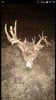 ImageUploadedByBowhunting.com Forums1451350182.897213.jpg