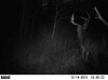 ImageUploadedByBowhunting.com Forums1451438355.572951.jpg
