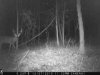 ImageUploadedByBowhunting.com Forums1451438379.310696.jpg