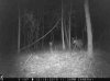 ImageUploadedByBowhunting.com Forums1451439164.700787.jpg