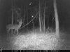 ImageUploadedByBowhunting.com Forums1451439181.302628.jpg