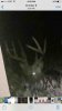 ImageUploadedByBowhunting.com Forums1452895831.086487.jpg