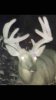 ImageUploadedByBowhunting.com Forums1452895979.344158.jpg