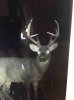 ImageUploadedByBowhunting.com Forums1452896053.583778.jpg