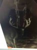 ImageUploadedByBowhunting.com Forums1452896090.633628.jpg