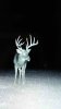 ImageUploadedByBowhunting.com Forums1453063254.689474.jpg