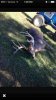 ImageUploadedByBowhunting.com Forums1453063300.680860.jpg