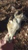20160119_124848.jpg