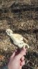 20160119_125331.jpg
